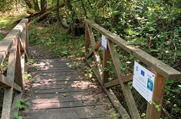 Brücke Ruth Dumke