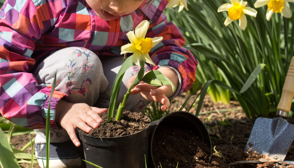 little-girl-planting-flowers-garden-2web