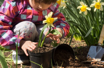 little-girl-planting-flowers-garden-2web